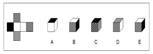 2-d shape into 3-d cuboid NVR